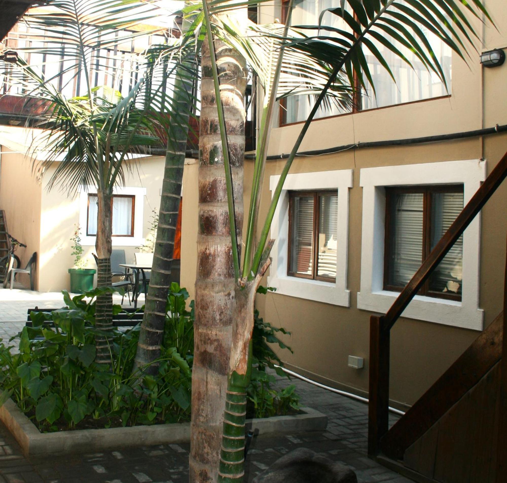 The Residence At Villa Wiese 斯瓦科普蒙德 外观 照片